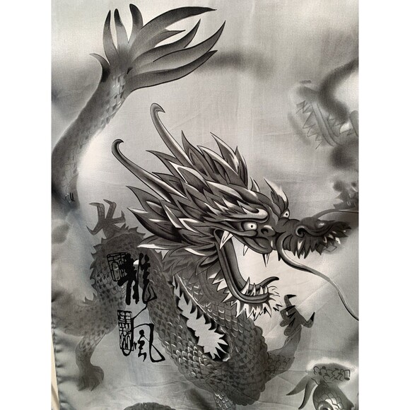 Ringo Sport Other - Ringo Sport No Contest Microfiber M Gray Graphic Asian Dragon Camp Y2K Retro